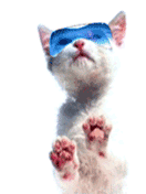 Sefan.RU liz 10.gif