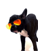 Sefan.RU liz 6.gif