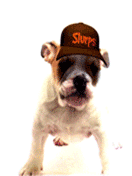 Sefan.RU liz 7.gif
