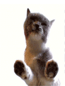 Sefan.RU liz 8.gif